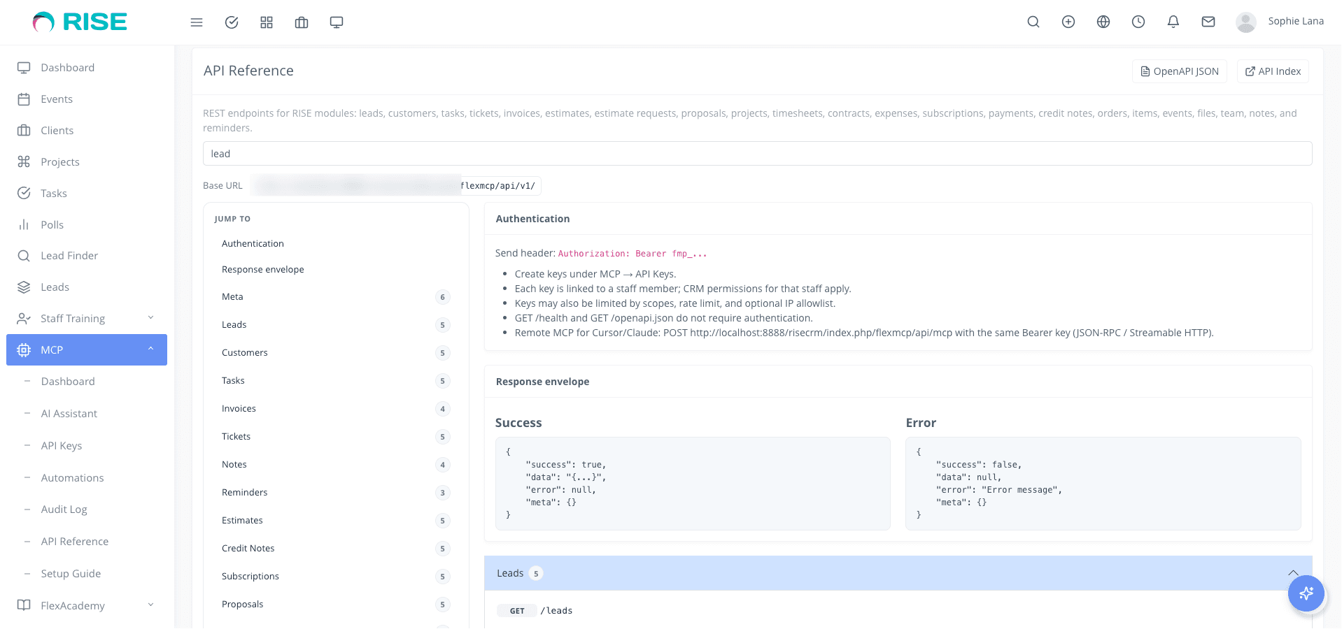 RISE MCP - AI Integration Bridge for RISE CRM screenshot 2