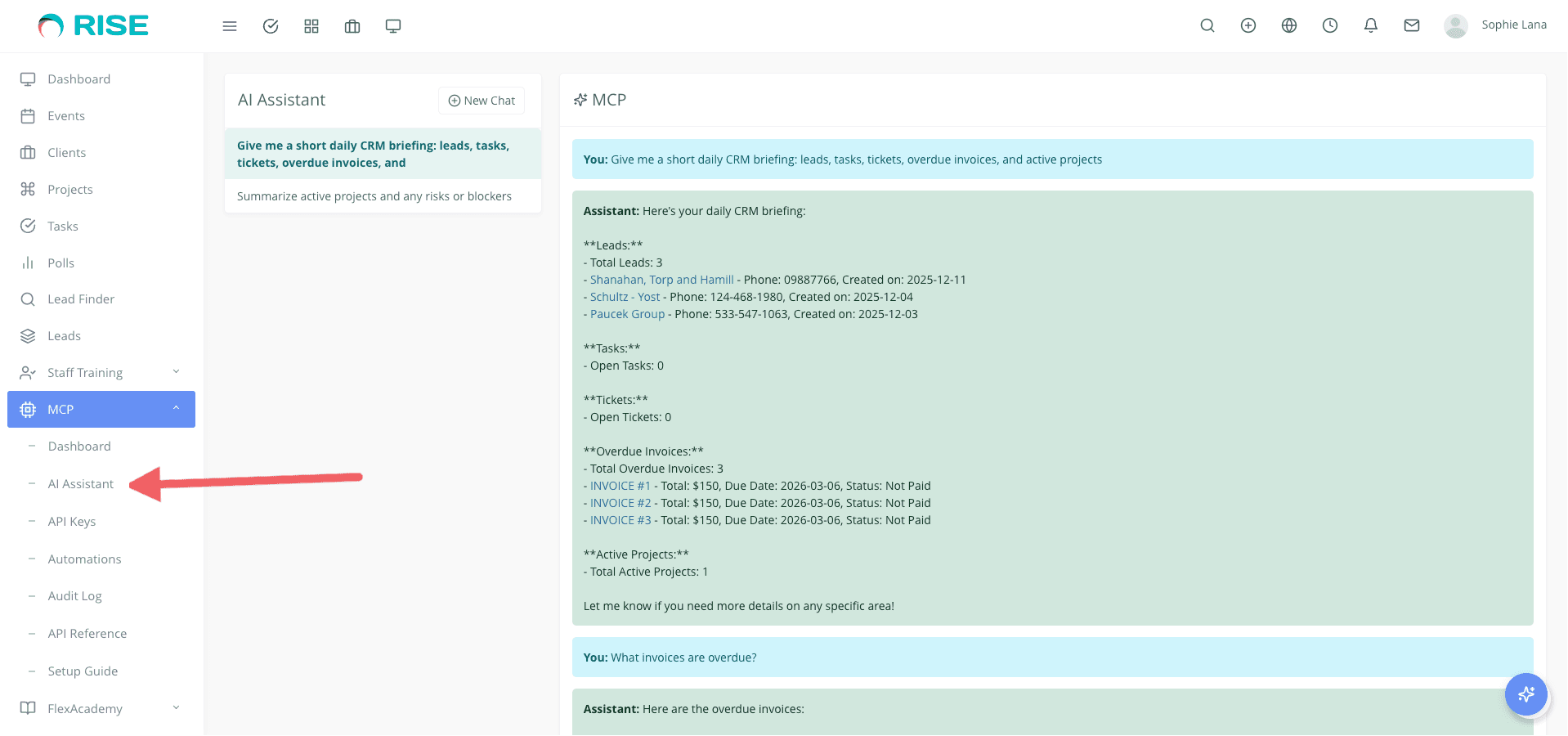 RISE MCP - AI Integration Bridge for RISE CRM screenshot 1