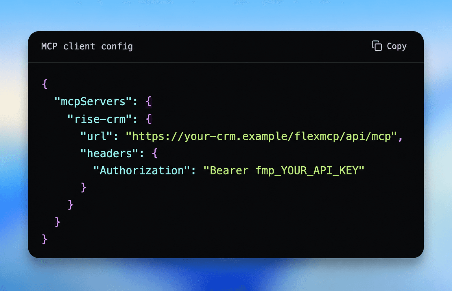 RISE MCP - AI Integration Bridge for RISE CRM screenshot 4