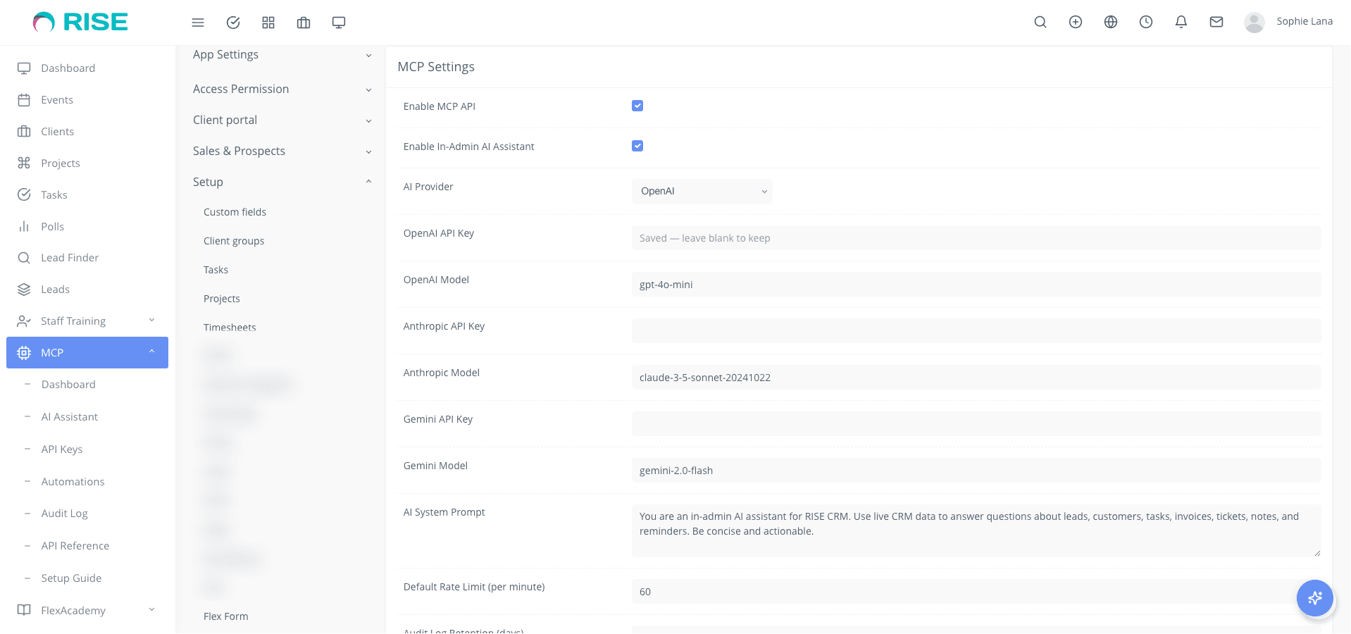 RISE MCP - AI Integration Bridge for RISE CRM screenshot 3